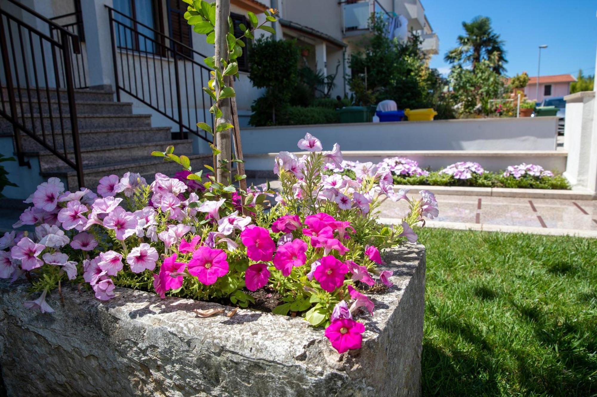 Studio Apartment Noah Rovinj Exteriör bild